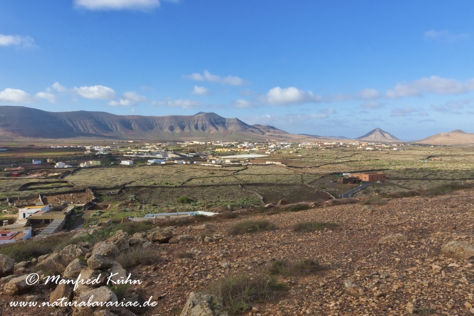 Fuerteventura (Spanien)_0003