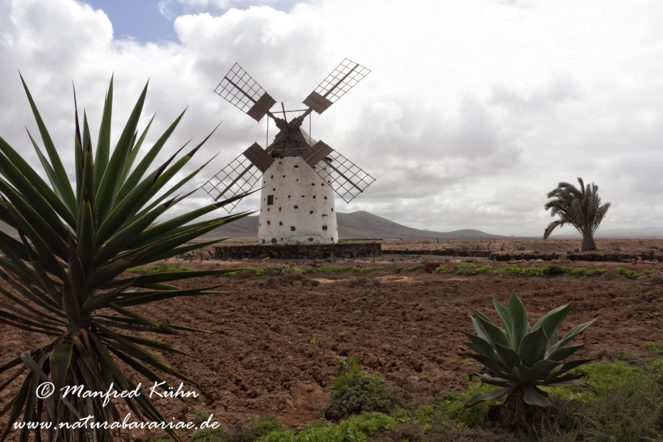 Fuerteventura (Spanien)_0043