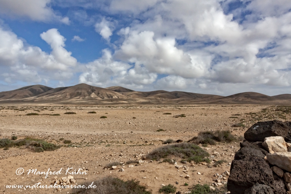 Fuerteventura (Spanien)_0051