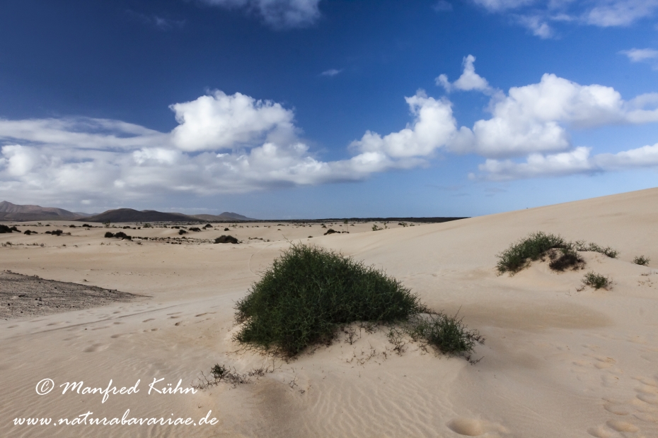 Fuerteventura (Spanien)_0073