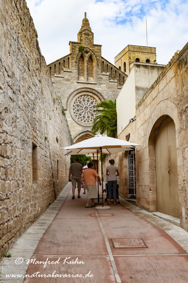 Mallorca (Spanien)_Alcudia-Altstadt_0036