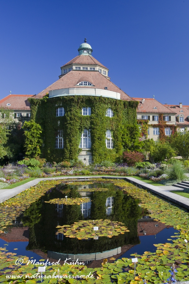 Botanischer Garten ()_0002