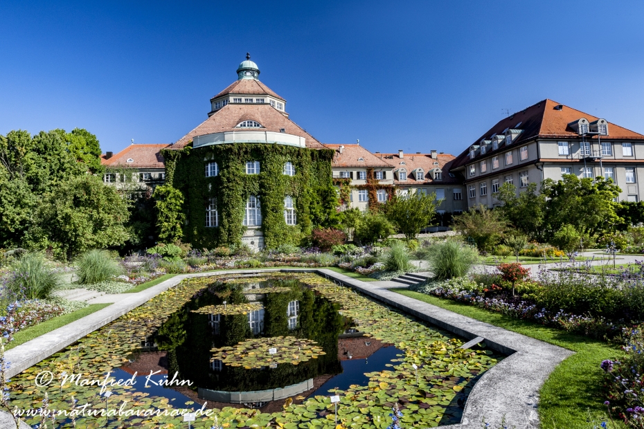 Botanischer Garten ()_0003