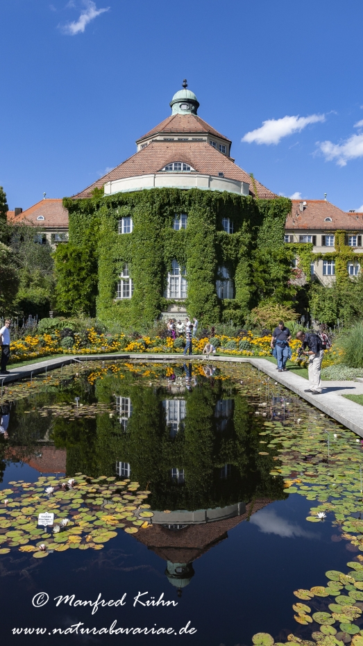 Botanischer Garten ()_0005