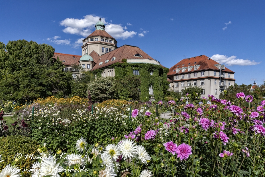 Botanischer Garten ()_0006