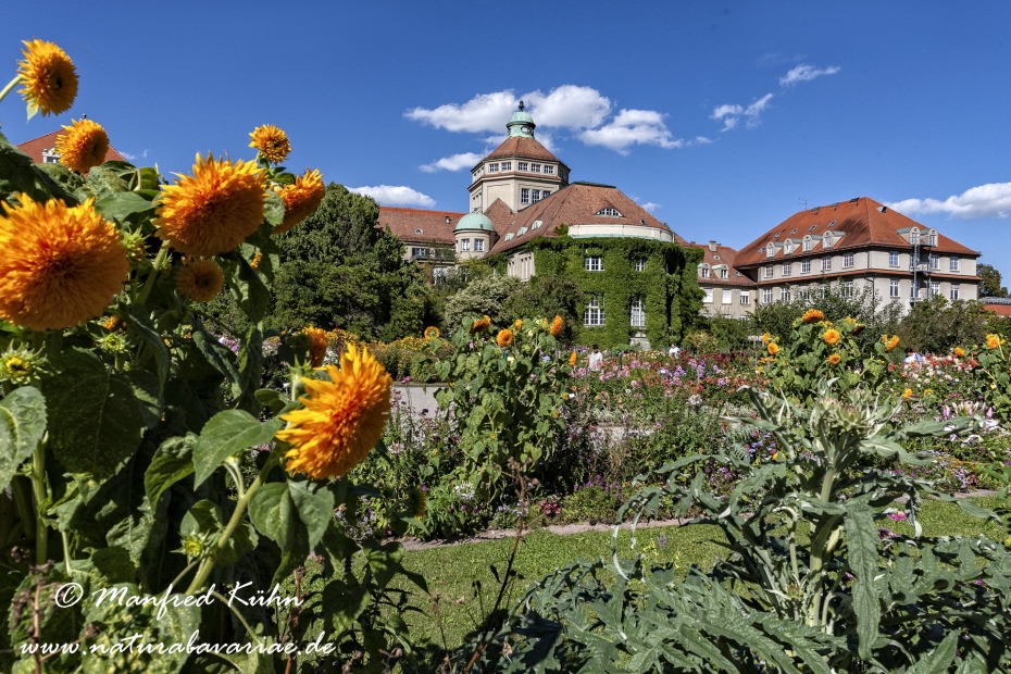 Botanischer Garten ()_0007