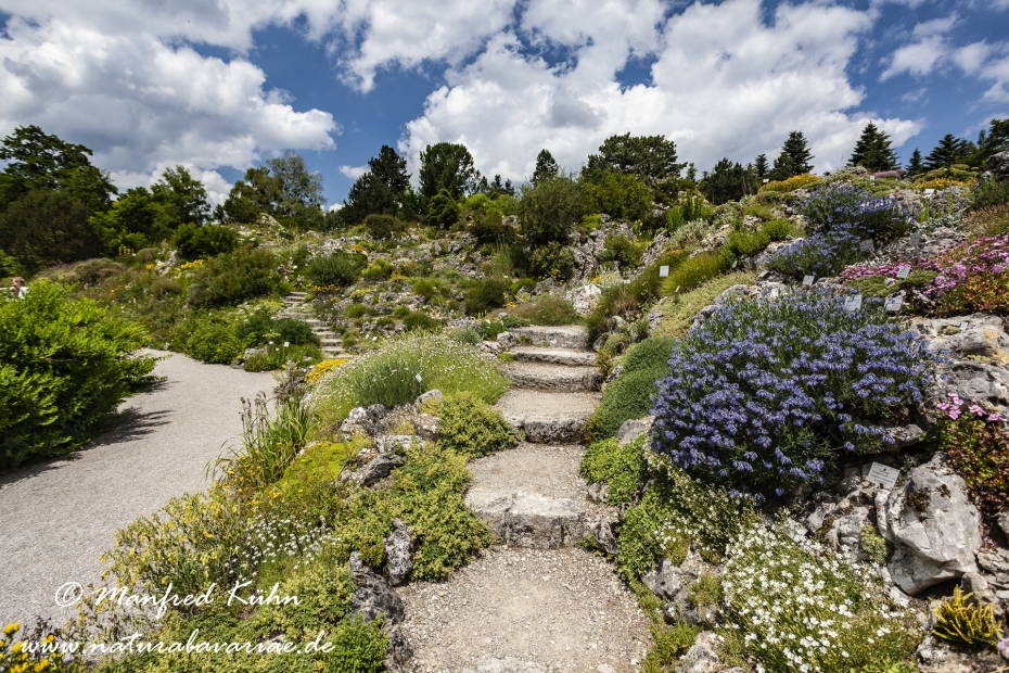 Botanischer Garten ()_0008