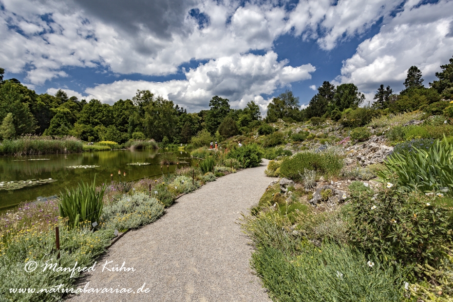 Botanischer Garten ()_0009