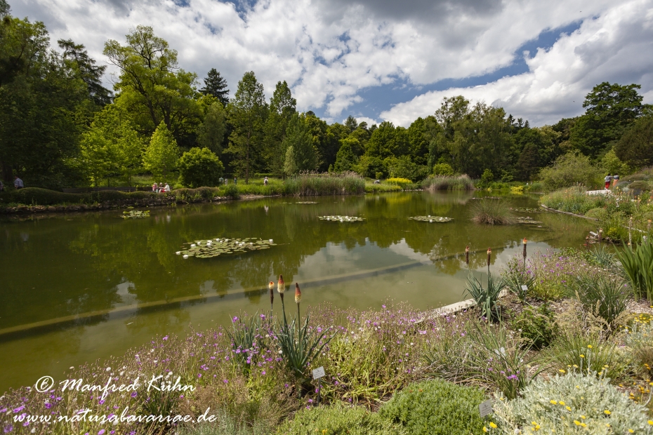 Botanischer Garten ()_0010