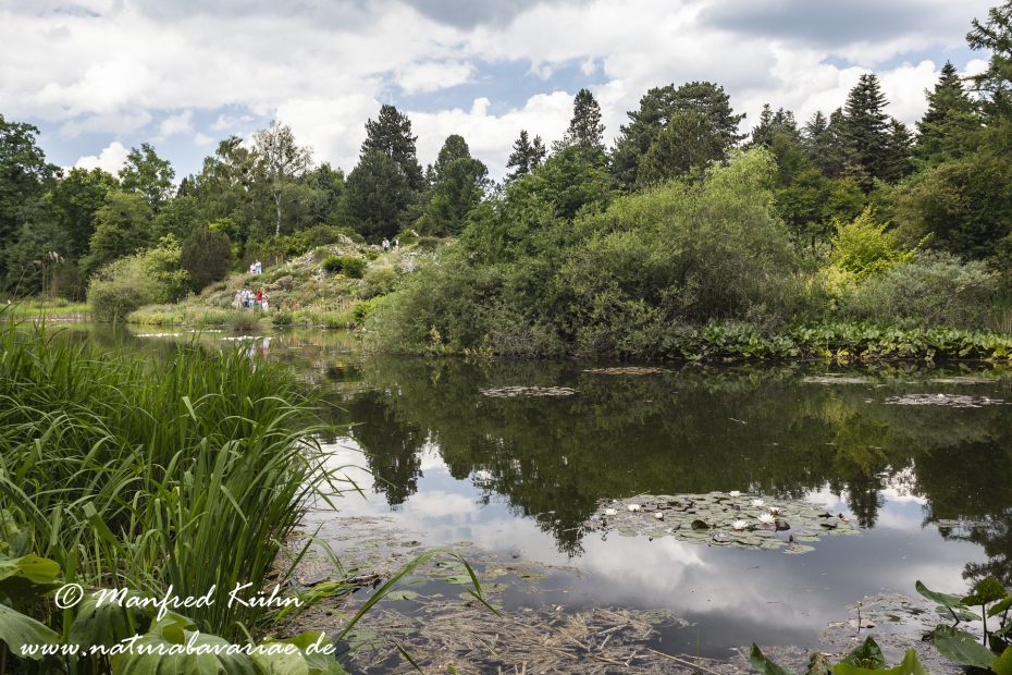 Botanischer Garten ()_0012