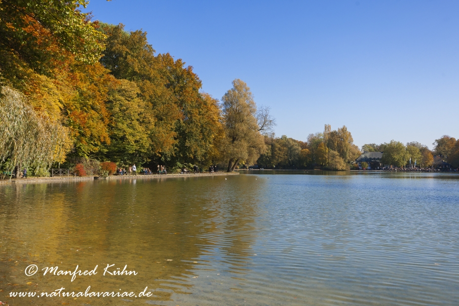 Englischer Garten ()_0007