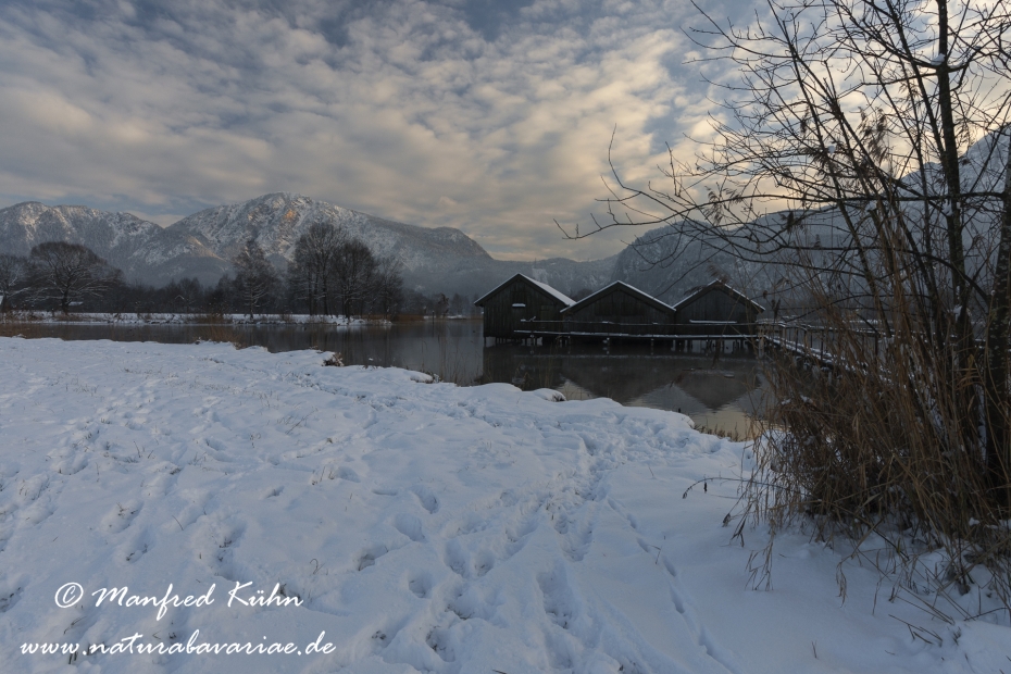 Kochelsee (BAY_LKR_TÖL)_0006