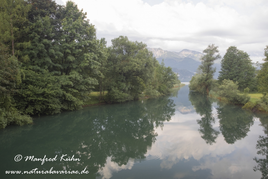 Loisach_Kochelsee (BAY_LKR_TÖL)_0002