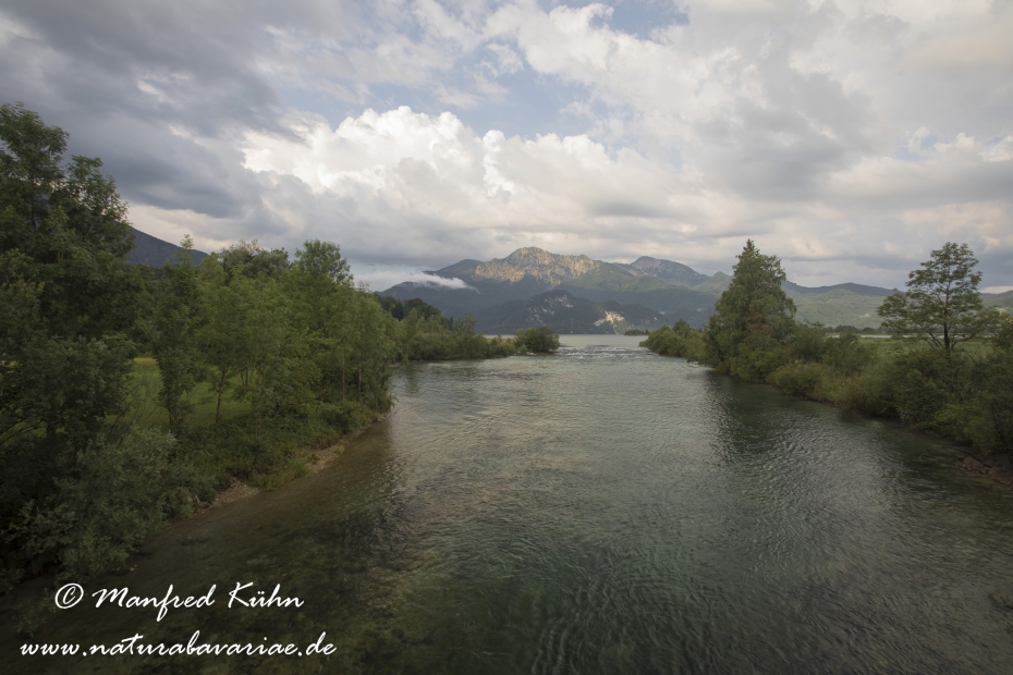 Loisach_Kochelsee (BAY_LKR_TÖL)_0003