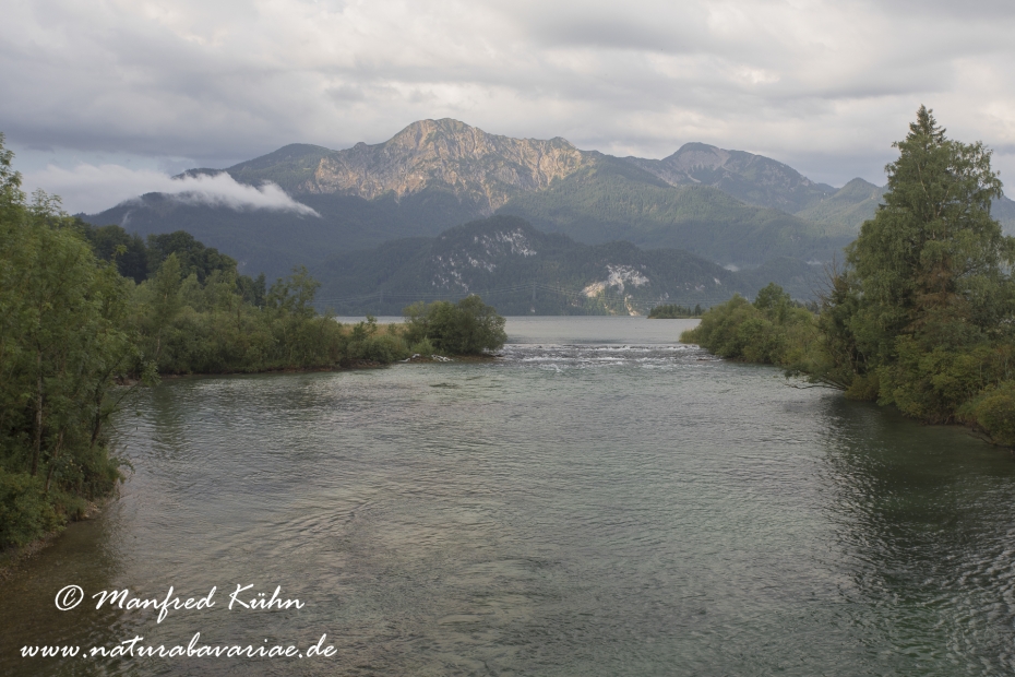 Loisach_Kochelsee (BAY_LKR_TÖL)_0004