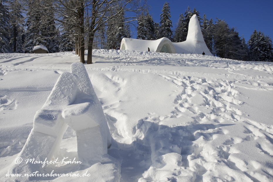 Mitterfirmiansreut (Eiskapelle)_0001