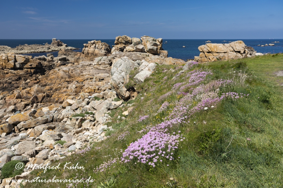 Bretagne (Frankreich)_0047