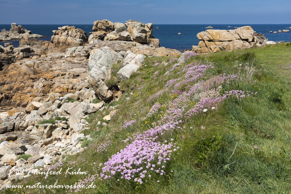 Bretagne (Frankreich)_0050