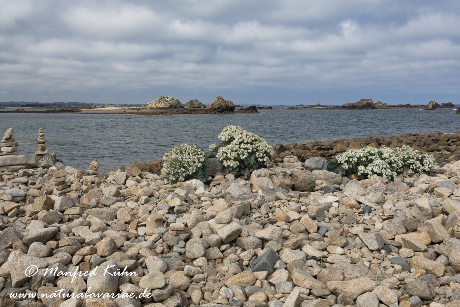 Bretagne (Frankreich)_0051