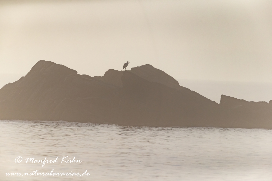 Bretagne (Frankreich)_0128