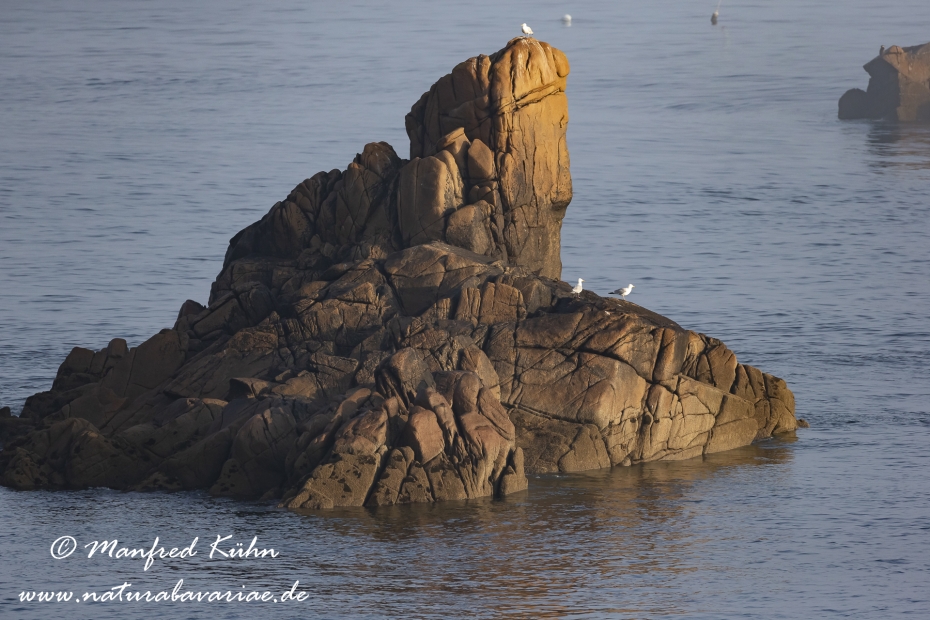 Bretagne (Frankreich)_0130