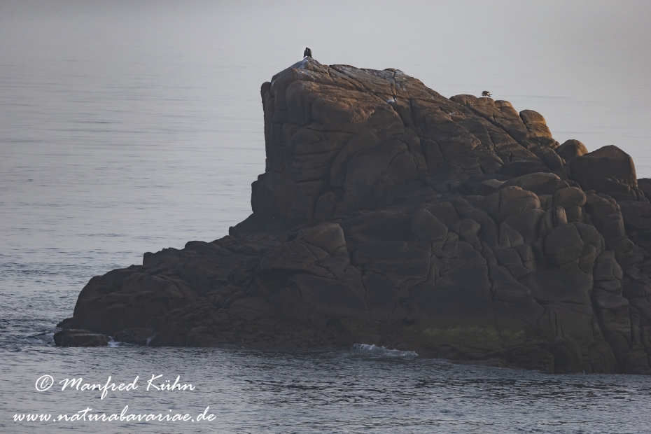 Bretagne (Frankreich)_0132