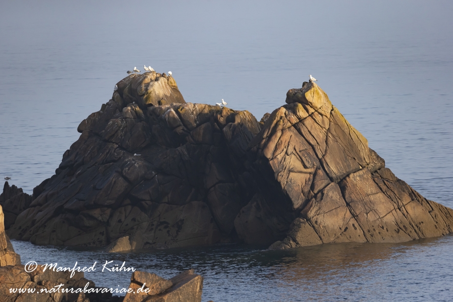 Bretagne (Frankreich)_0135