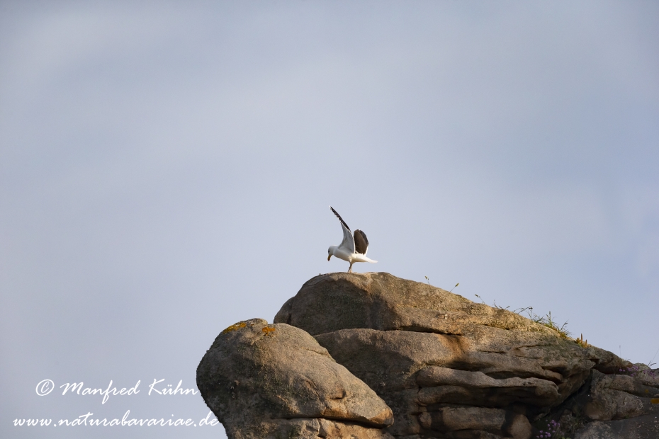 Bretagne (Frankreich)_0142