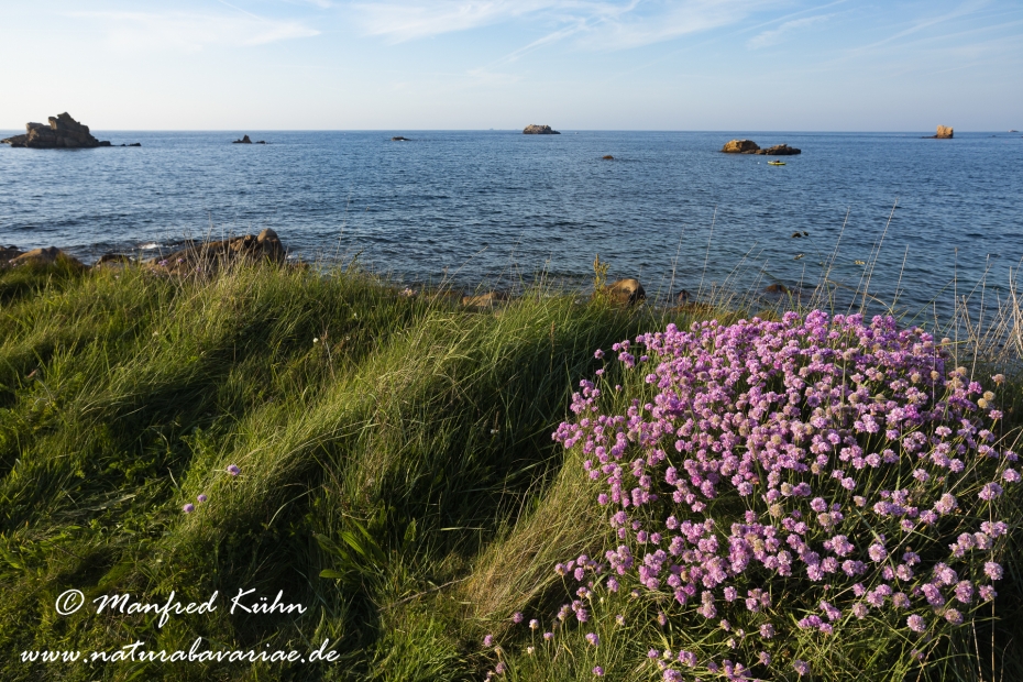 Bretagne (Frankreich)_0149