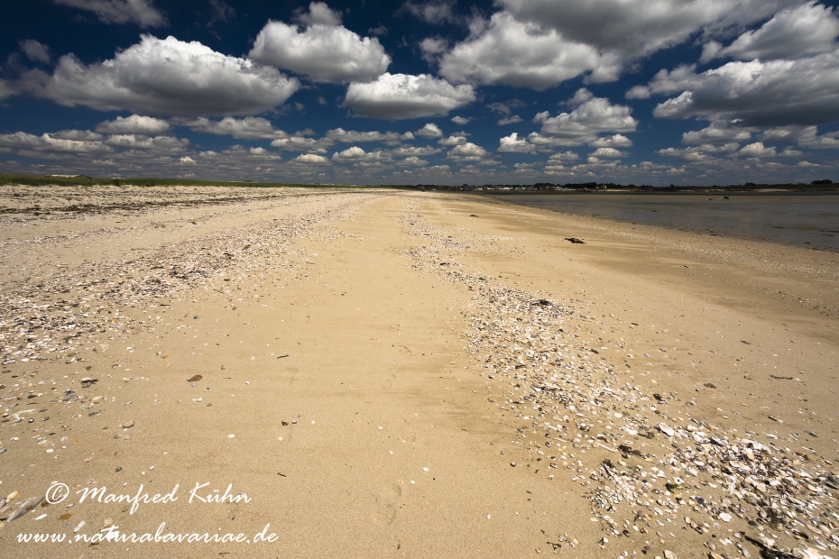 Bretagne (Frankreich)_0166