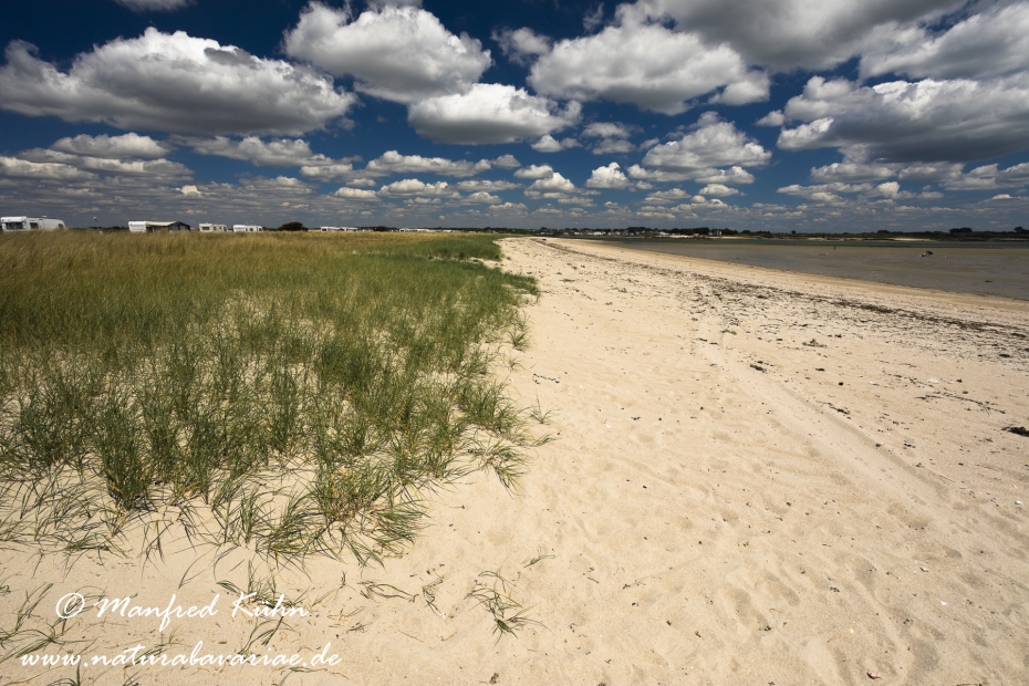 Bretagne (Frankreich)_0169
