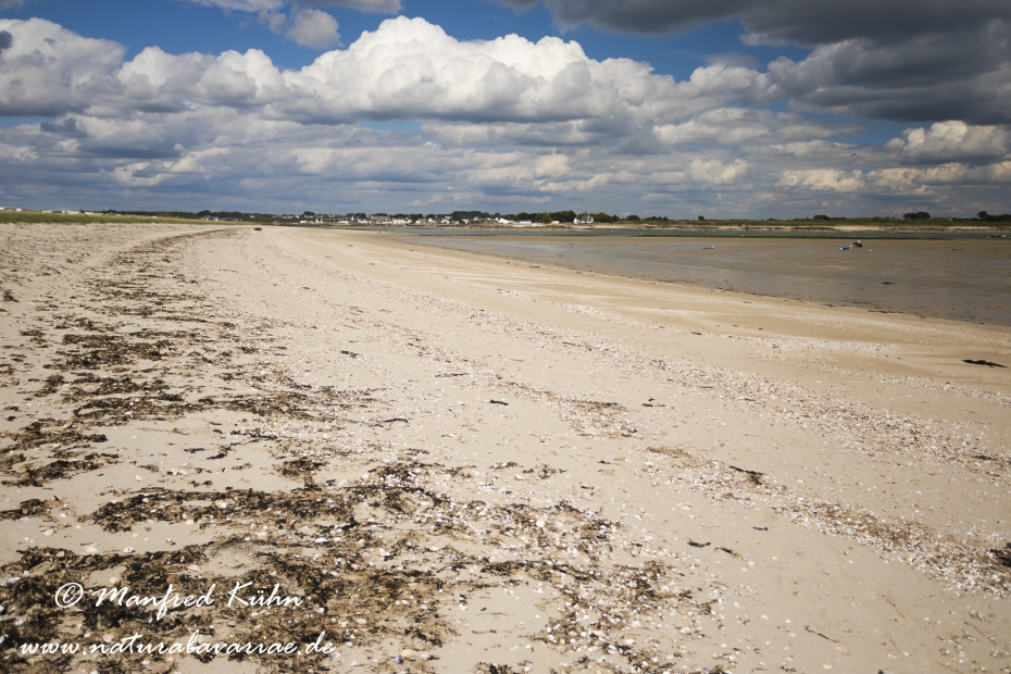 Bretagne (Frankreich)_0178