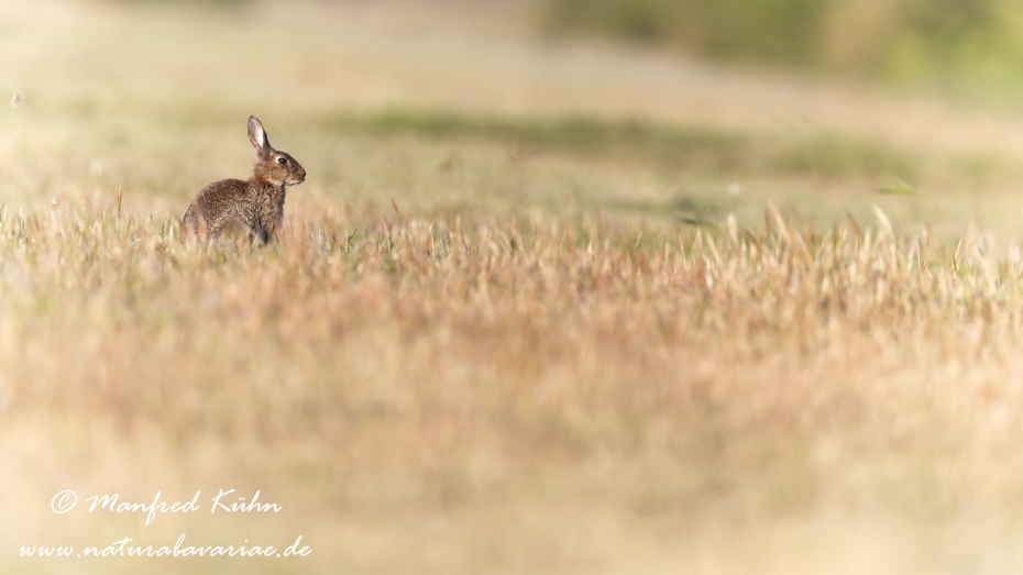 Bretagne (Frankreich)_0198