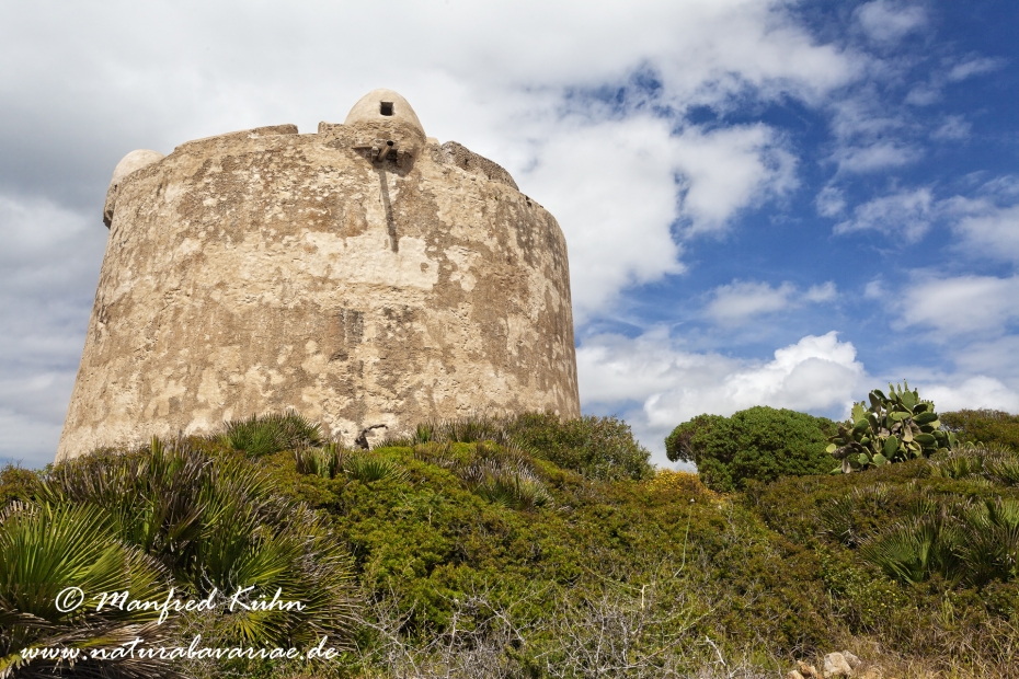 Sardinien (Italien)_0083