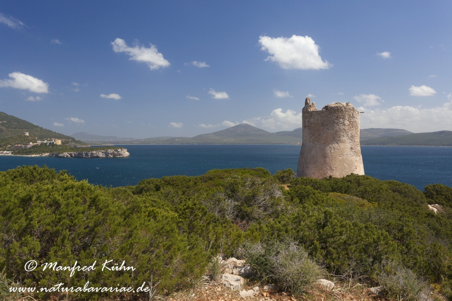Sardinien (Italien)_0102
