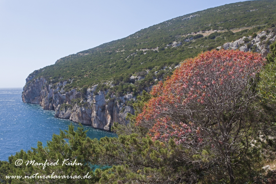 Sardinien (Italien)_0104
