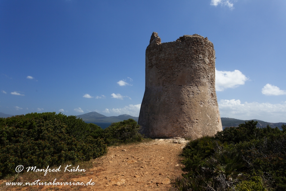 Sardinien (Italien)_0106