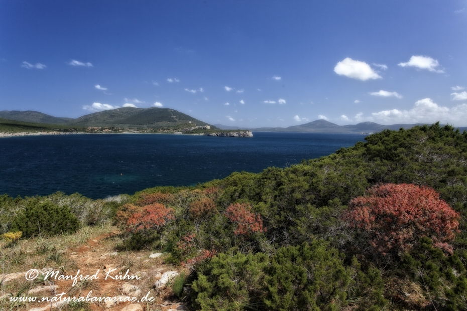 Sardinien (Italien)_0109