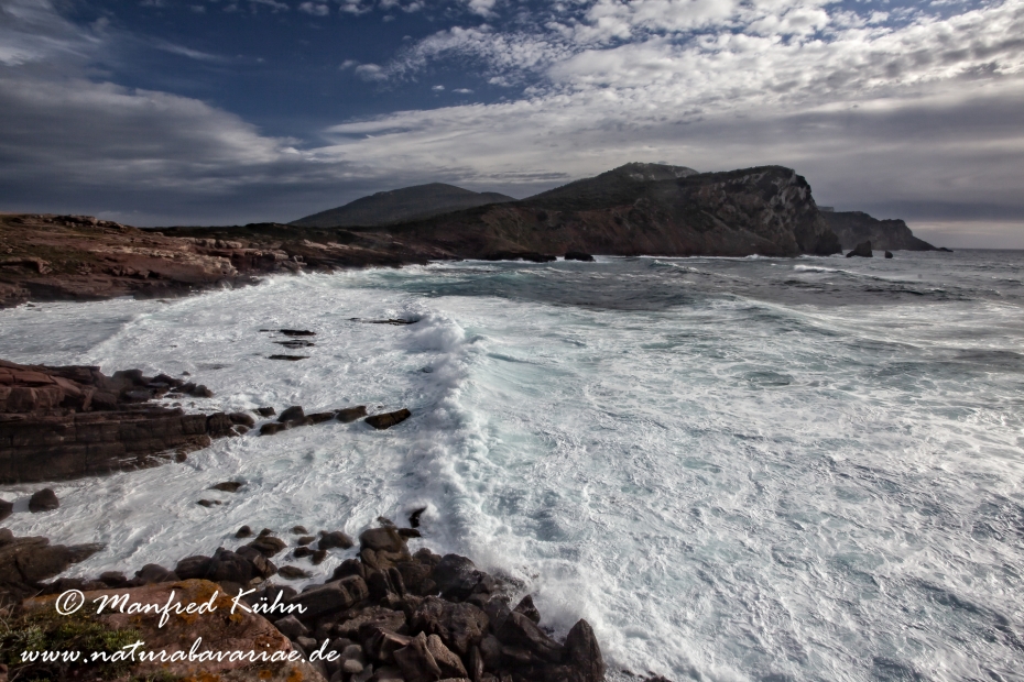 Sardinien (Italien)_0159