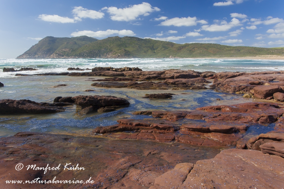 Sardinien (Italien)_0177