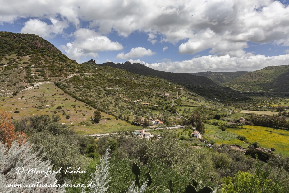 Sardinien (Italien)_0241