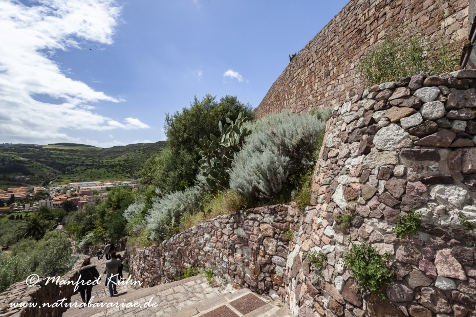 Sardinien (Italien)_0250