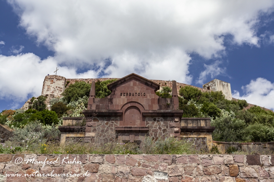 Sardinien (Italien)_0253