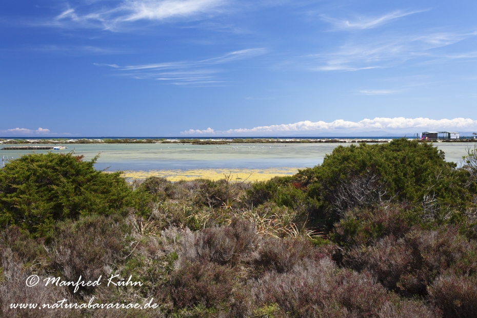 Sardinien (Italien)_0306