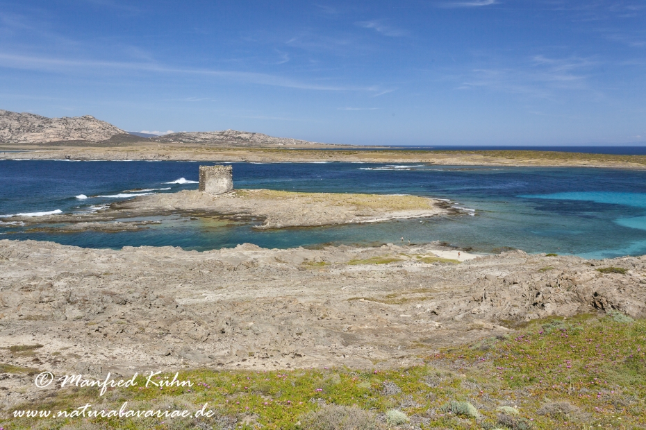 Sardinien (Italien)_0309