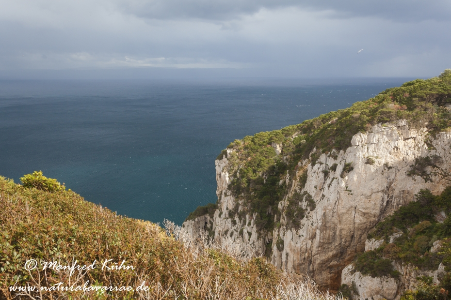 Sardinien (Italien)_0327