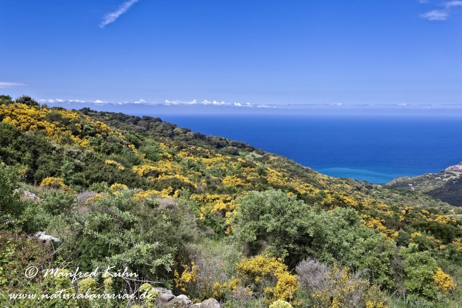 Sardinien (Italien)_0330