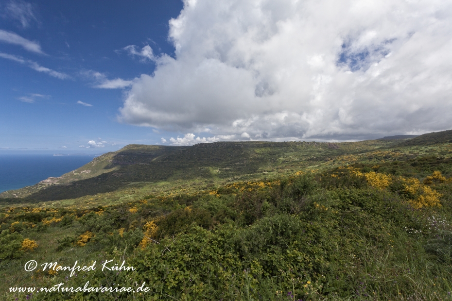 Sardinien (Italien)_0331