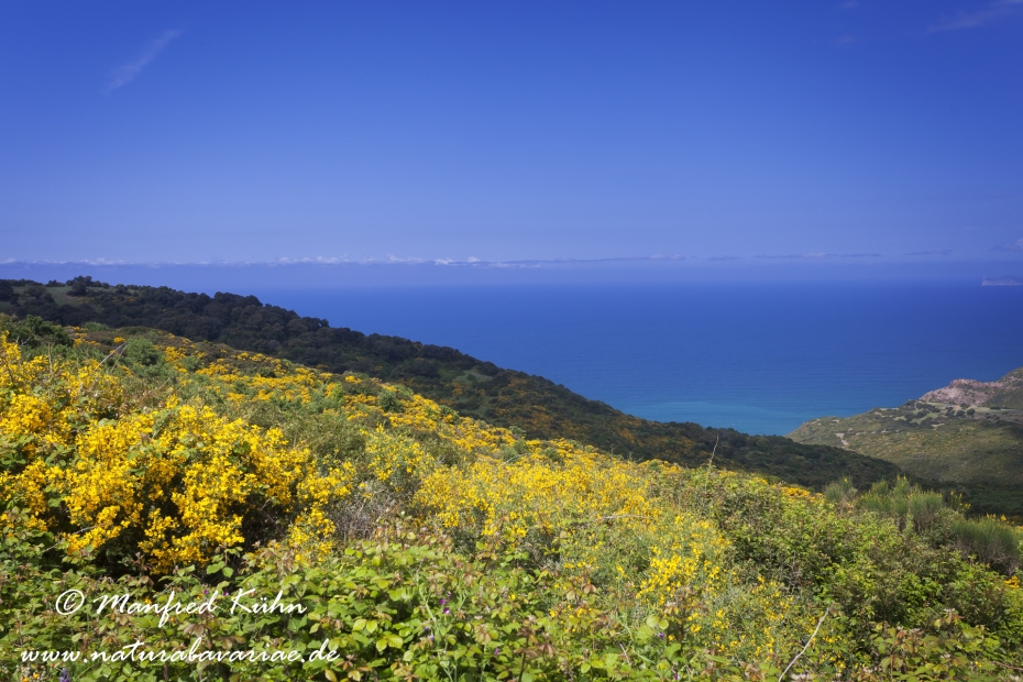 Sardinien (Italien)_0334