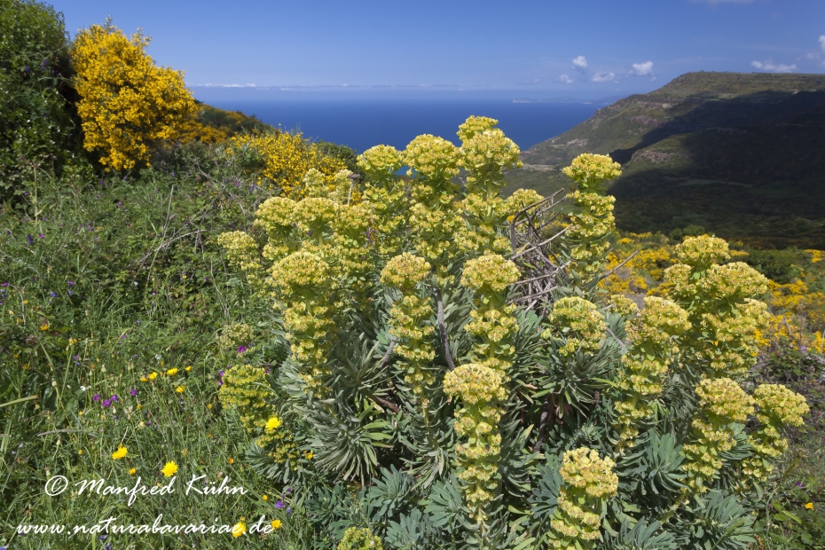 Sardinien (Italien)_0336